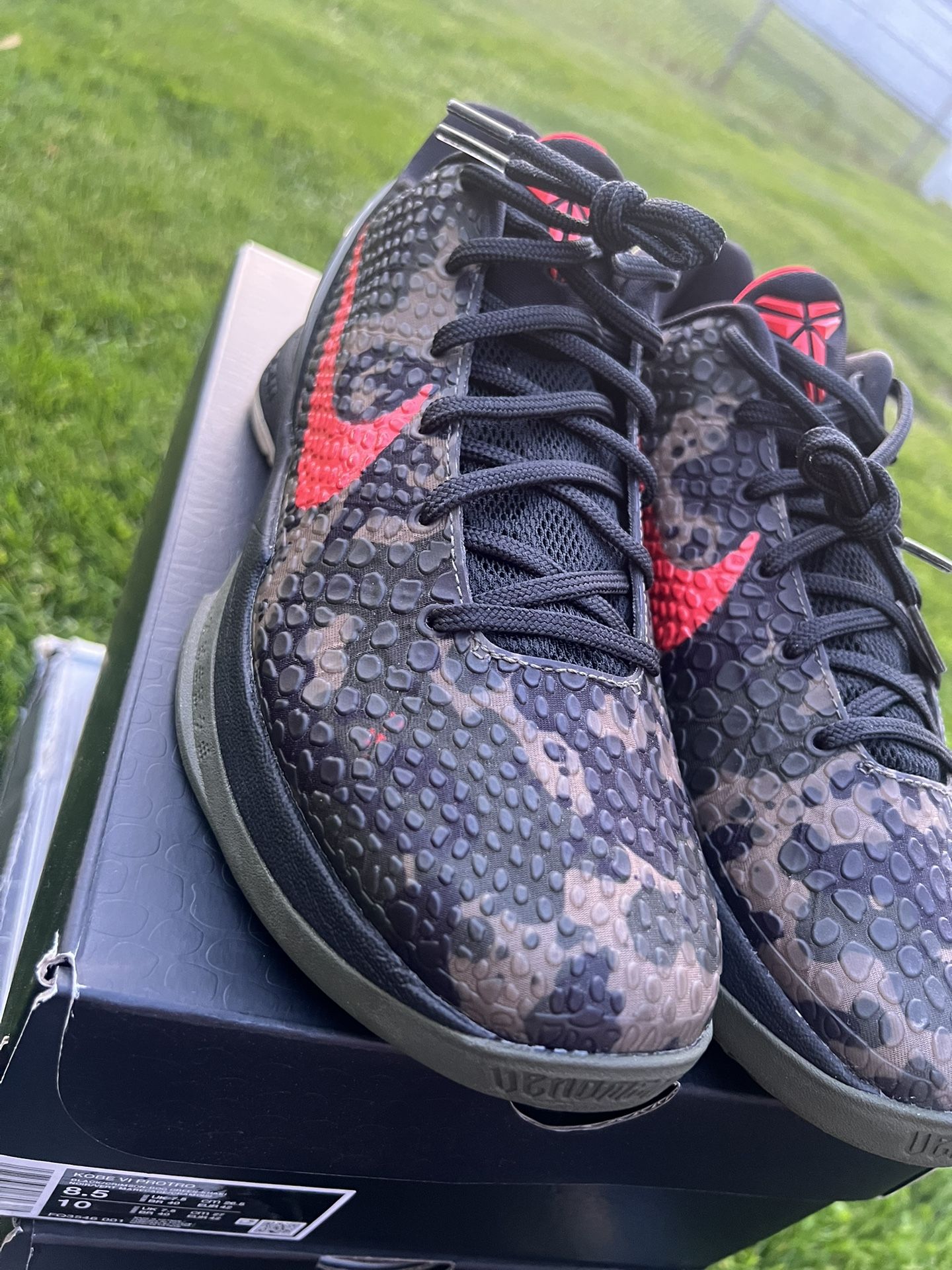 Kobe 6 Size 8.5