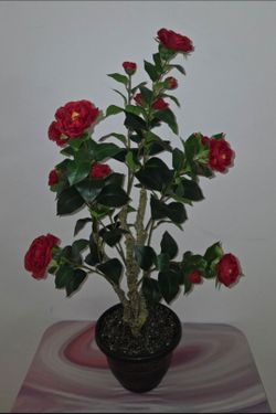 *** CLEARANCE *** 38" Faux Red Camellia Tree Topped With Labradorite Stones in Resin Planter @ Lasting Creations