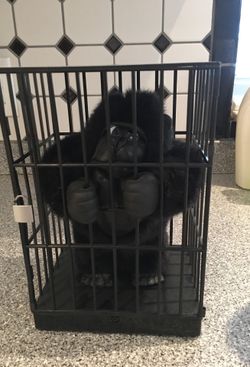 Gorilla in a cage battery operated shakes
