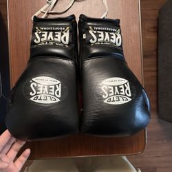 Cleto Reyes Boxing Gloves