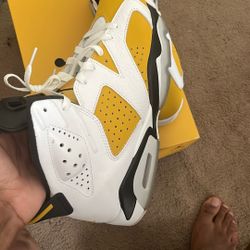 Jordan 6s