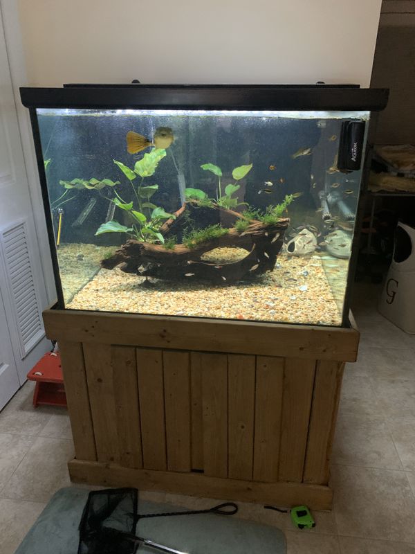 150g Aquarium Fish Tank for Sale in Fort Lee, NJ OfferUp