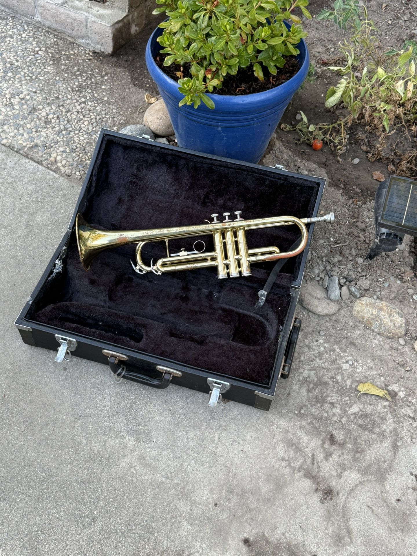 Vintage Trumpet 🎺 