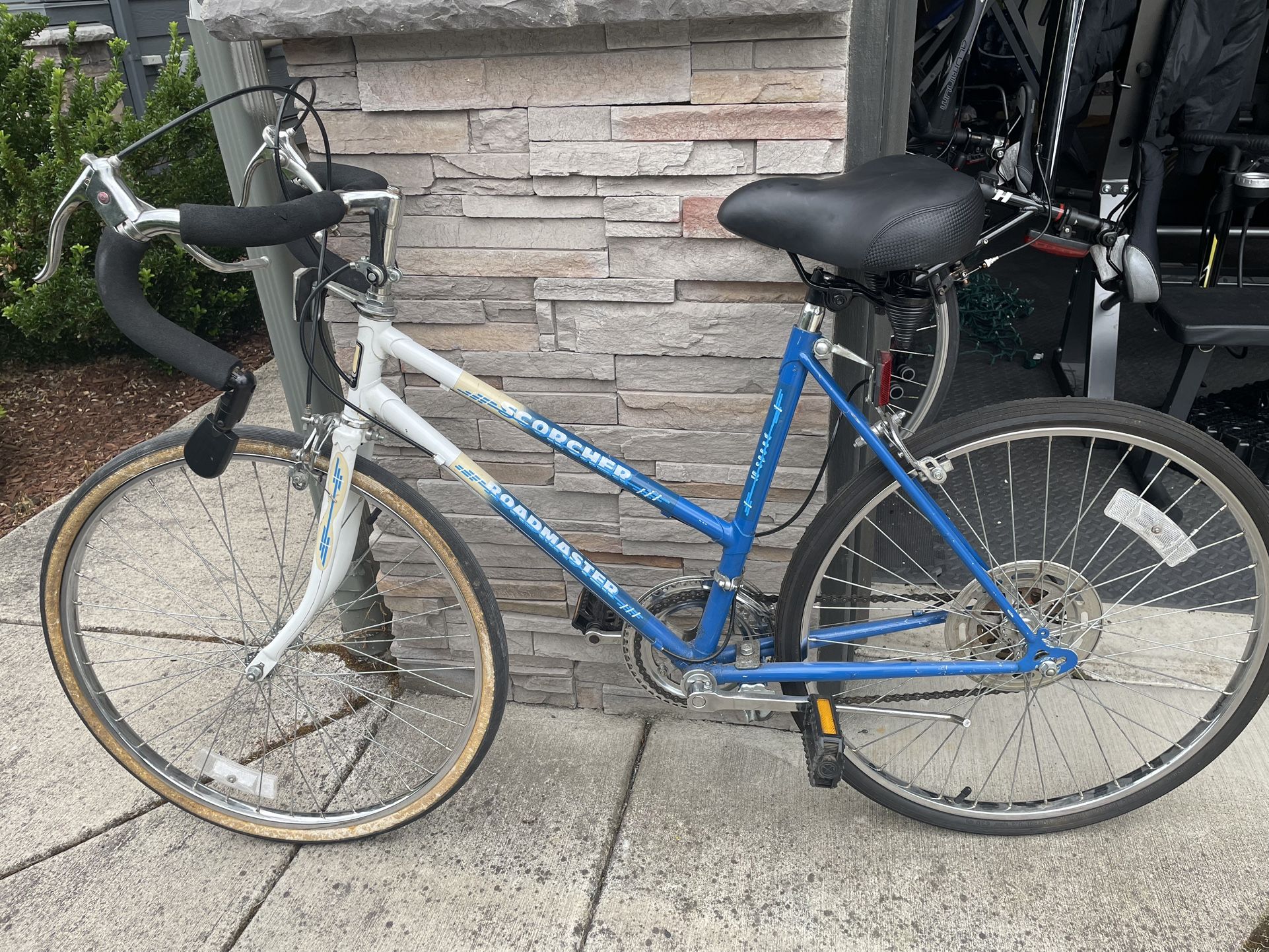 Roadmaster Scorcher 10 Speed Bike
