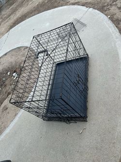Dog kennel