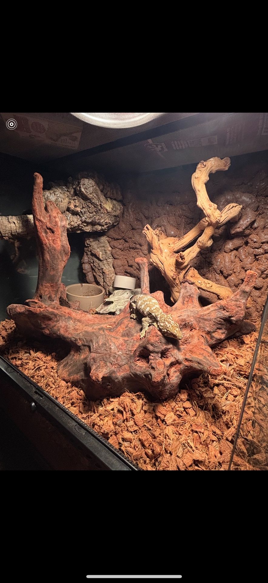 18x18x18 Inches very Big Tank