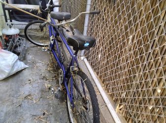 Schwinn Tandem Bike – 2 Person Bicycle