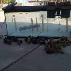 50 gal aquarium