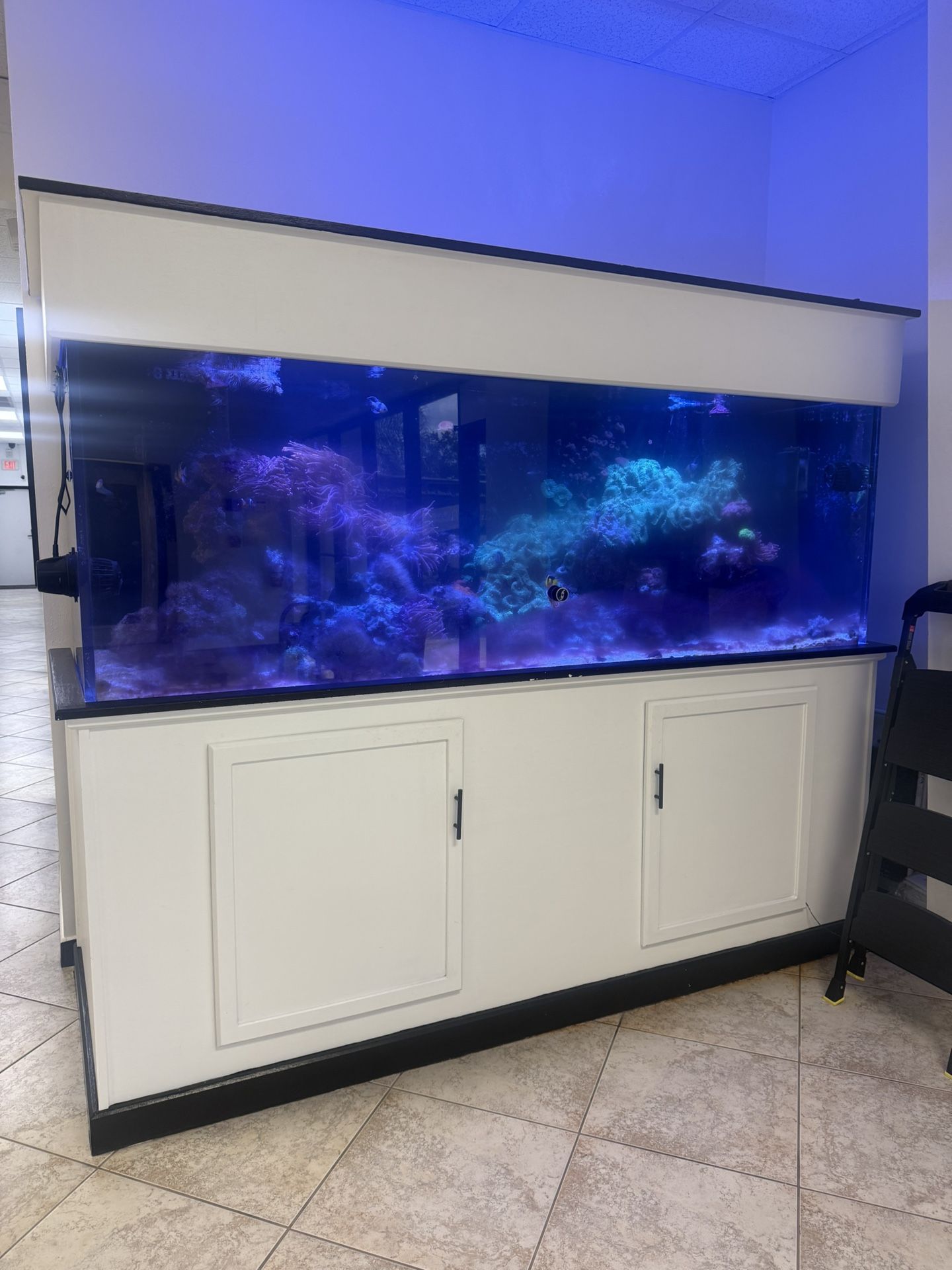 Full Working Fish Tank For Sale
