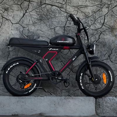 Perraro Jaguar Fat Tire E Bike / Dirt Bike