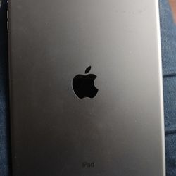 Apple IPad 7th Grne