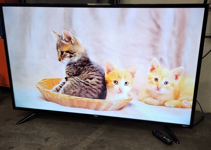 48-inch 1080p LED Smart Roku TV 2015