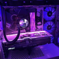 Graphics Card 