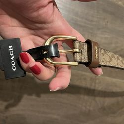 Coach Women Belt Size Medium