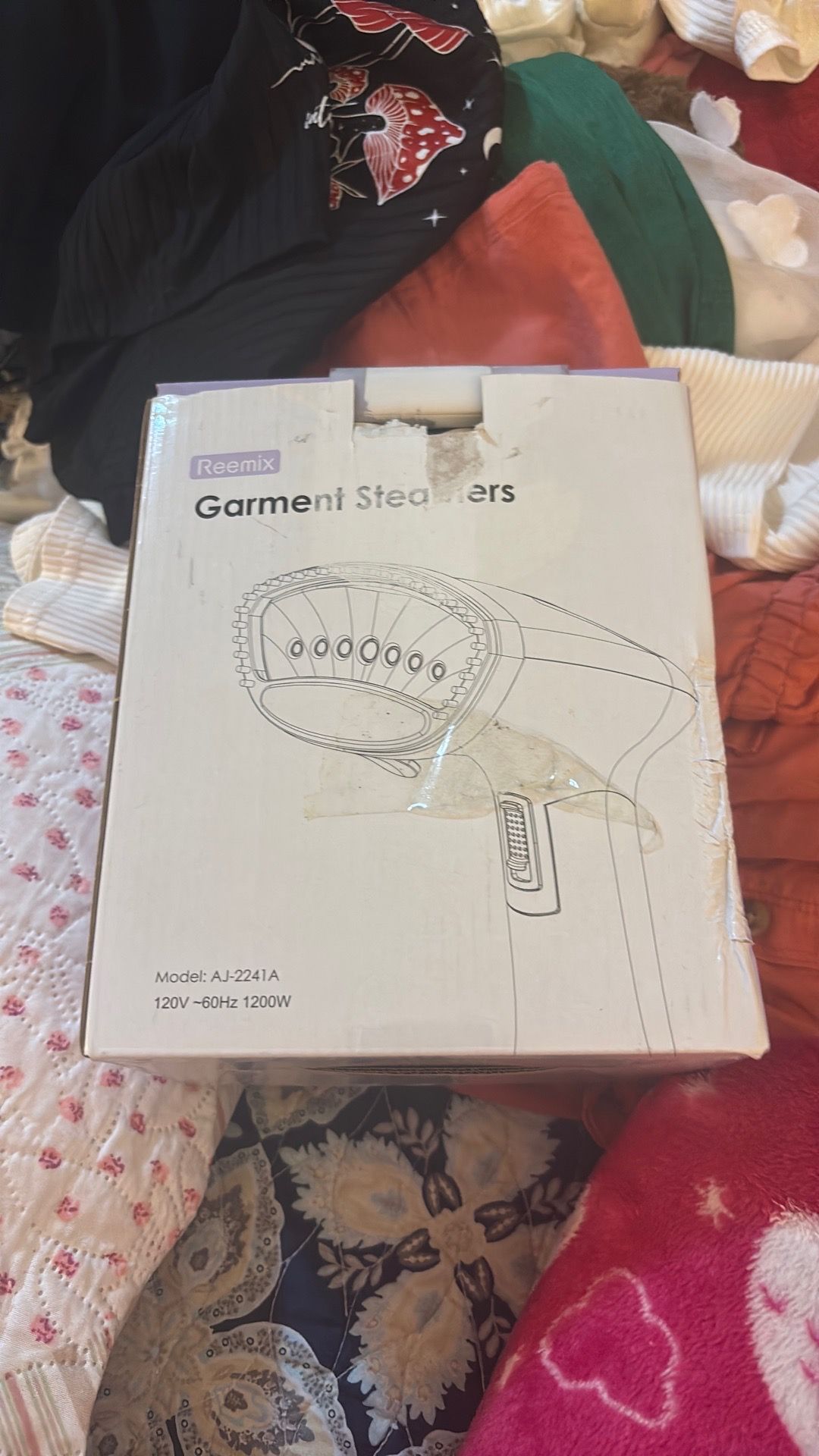 Steam iron