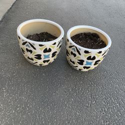 Flower Pots 