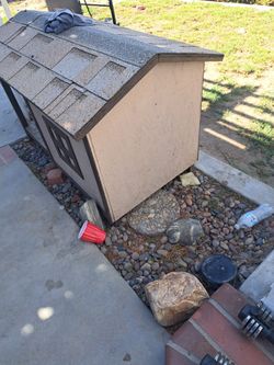 Dog House