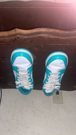 Nike Dunks