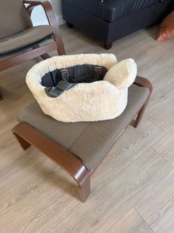 Small dog carrier