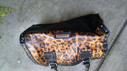 Steve Madden