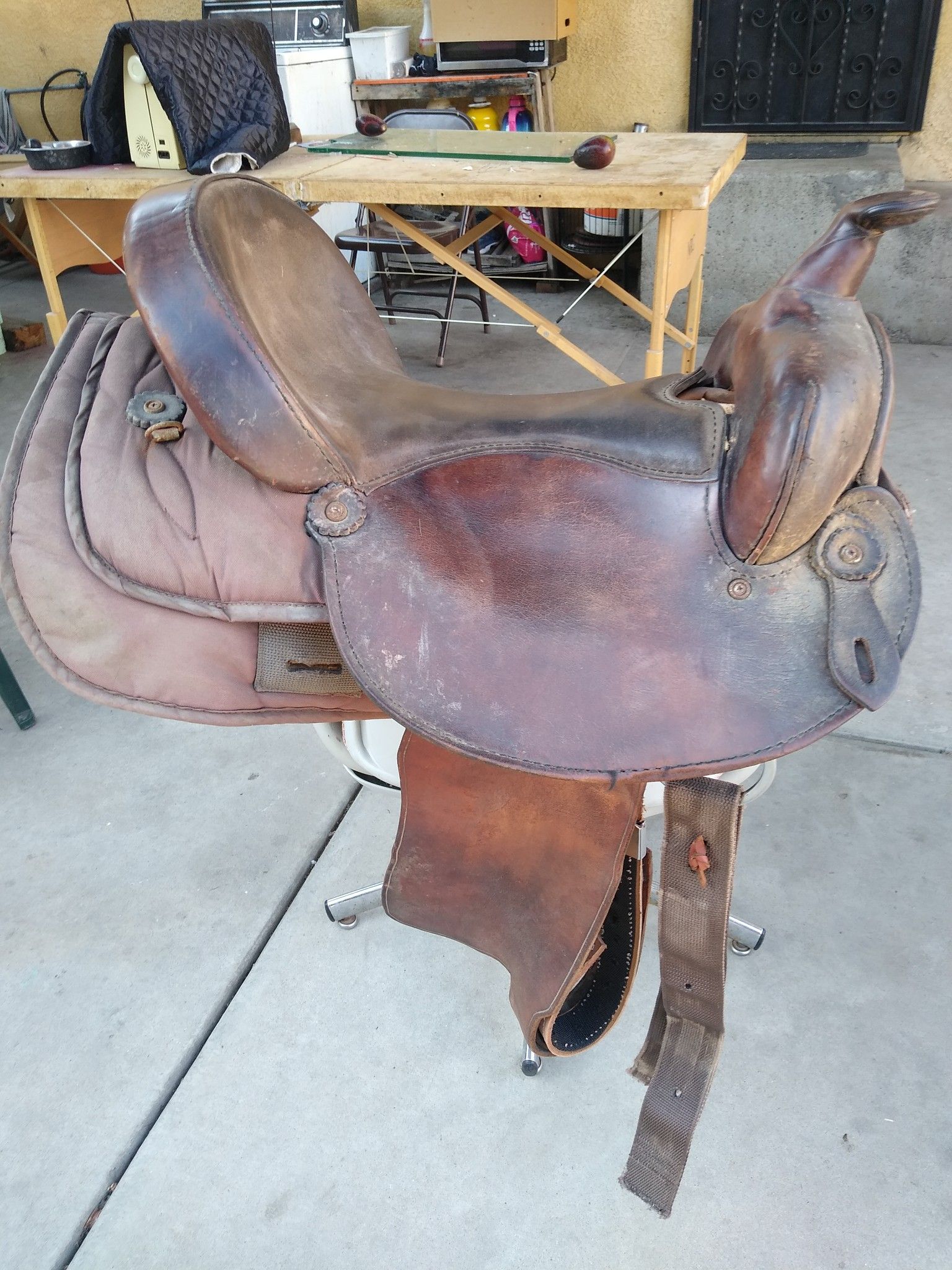 Western saddler