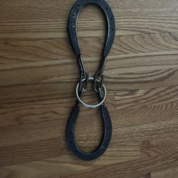 Horseshoes and Ring Magic Trick