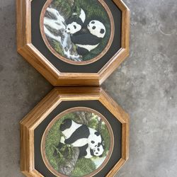 A Set Of Limited Edition Panda Plates Collectible 
