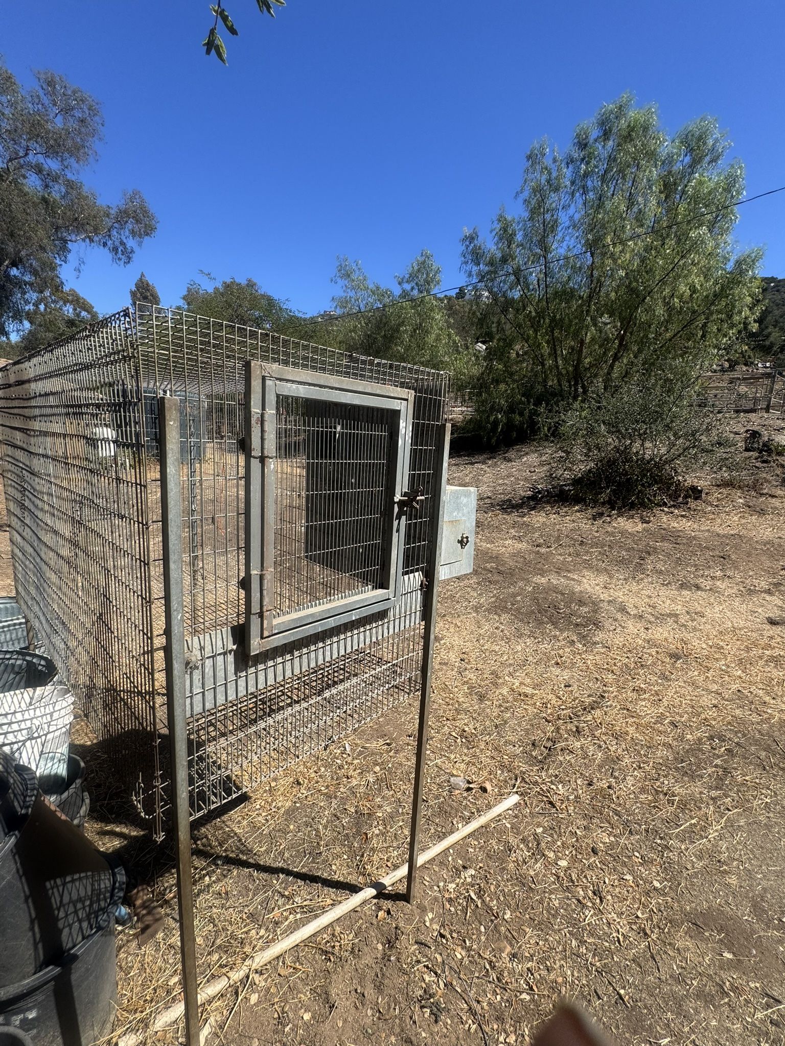 Bird Cage / Jaula Para Pajaros