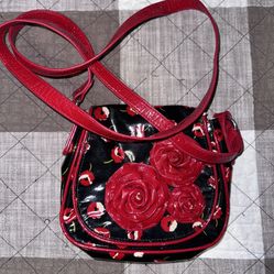 Vera Bradley Bag