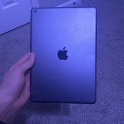 iPad 