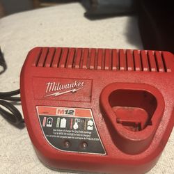 Milwaukee M-12 12 Volt Lithium Ion Battery Charger