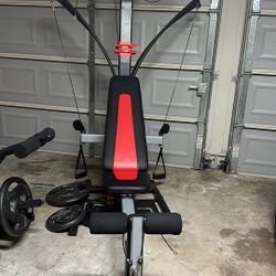 Bowflex PR1000 Home Gym 