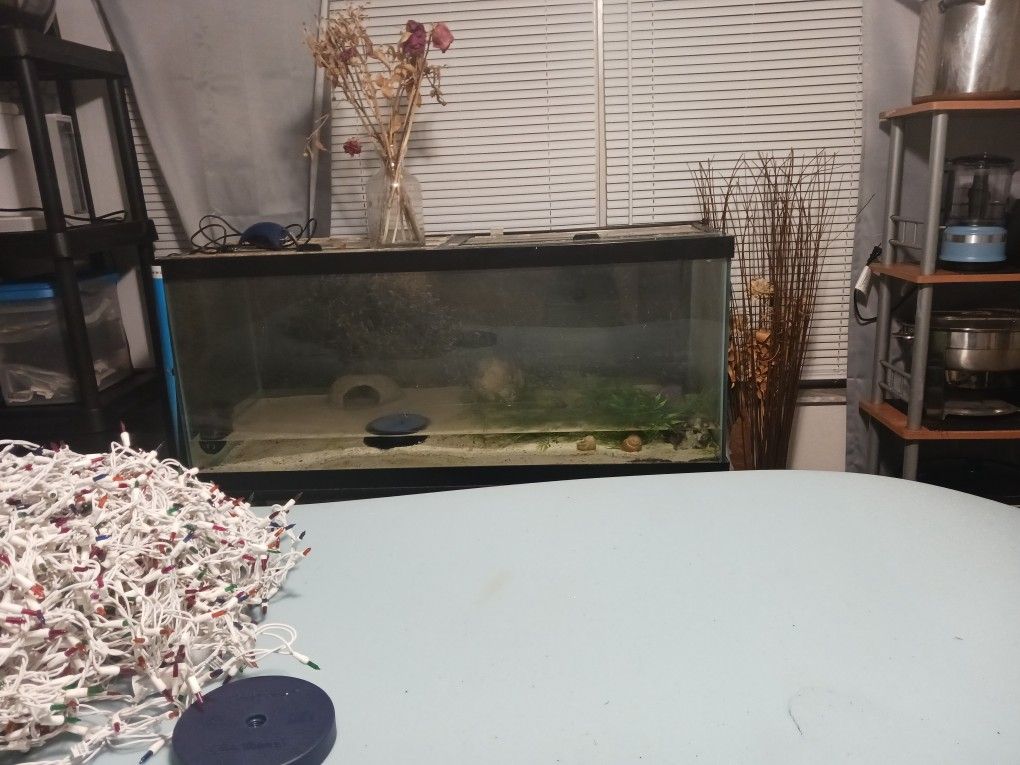 Fish Tank With Stand