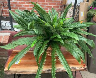 Artificial Hanging fern