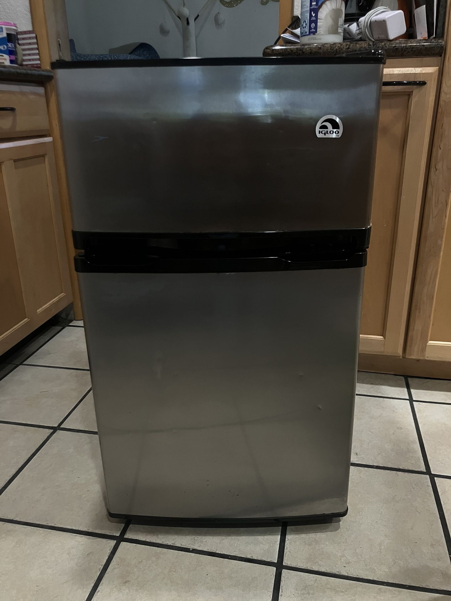 Igloo Mini Fridge