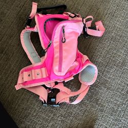 Ski Backpack