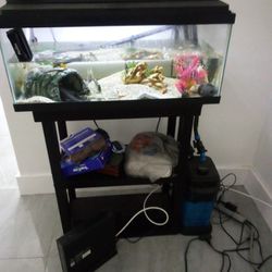 Fish Tank (Cash Only)