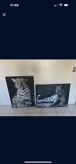 Wall Art $50