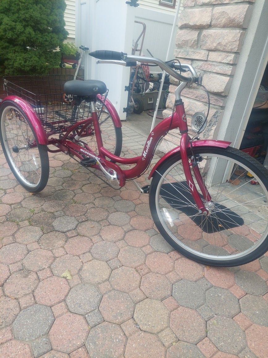 3 WHEEL CRUISER $100