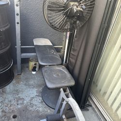 Bench  Press And Leg Extension 