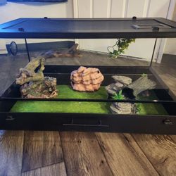Terrarium 