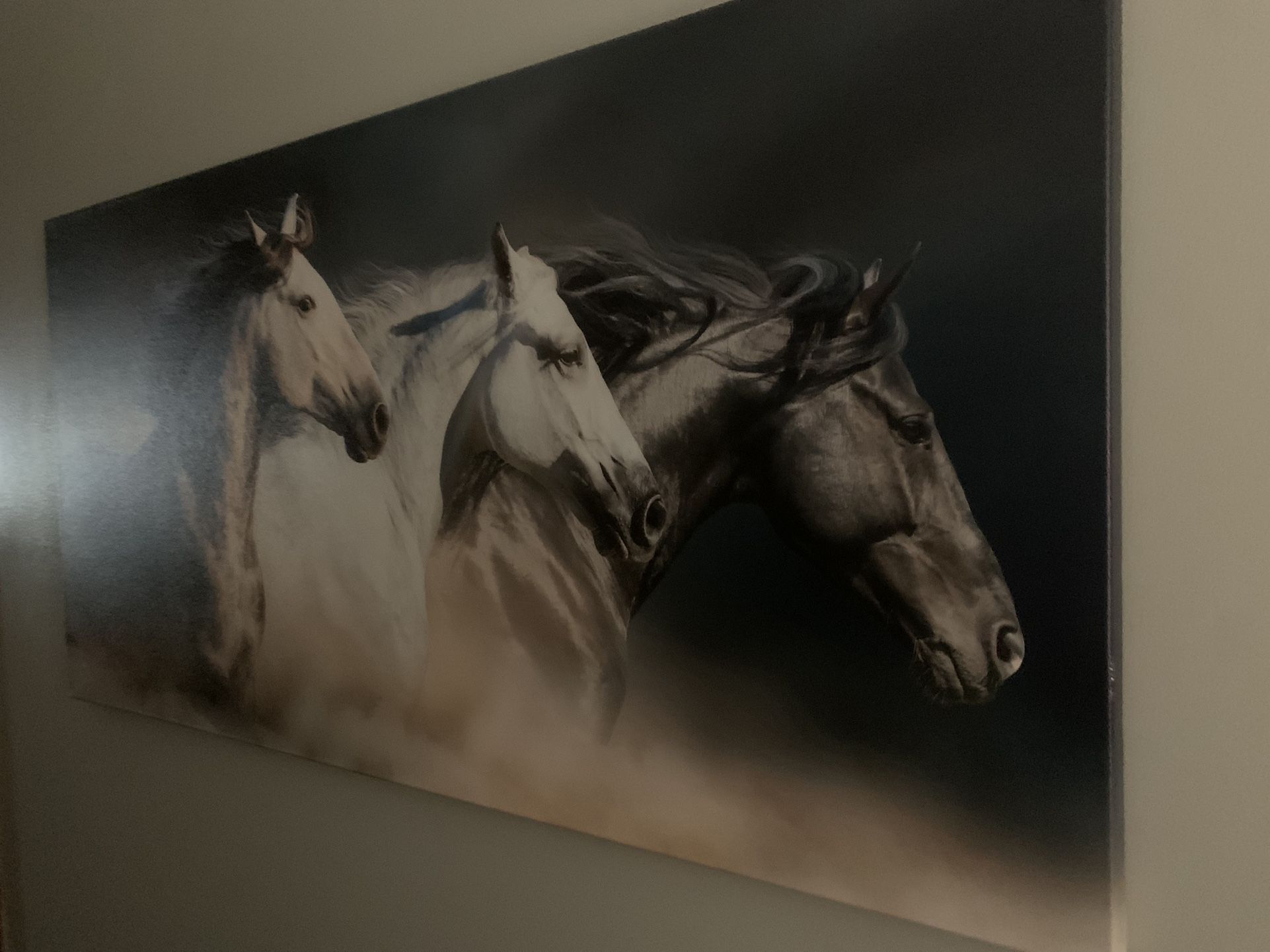 Wild Horses Canvas