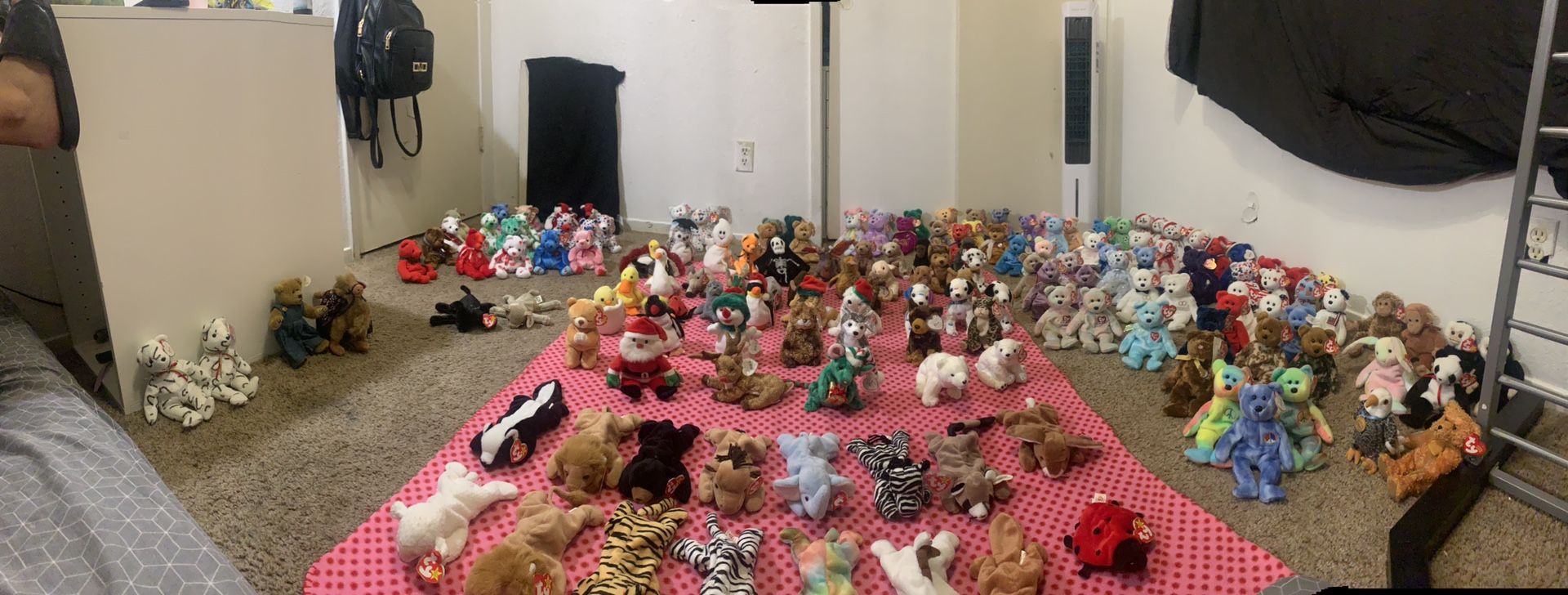 Beanie Baby’s Collection