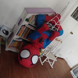 Piñata And Decorations 