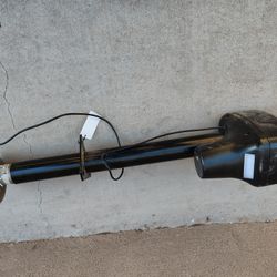 Electric Tongue jack