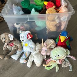 Beanie babies Lot of 27