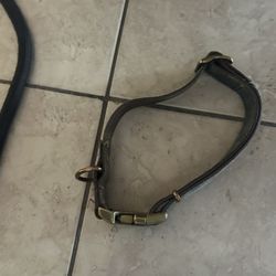 Large Dog Collar 