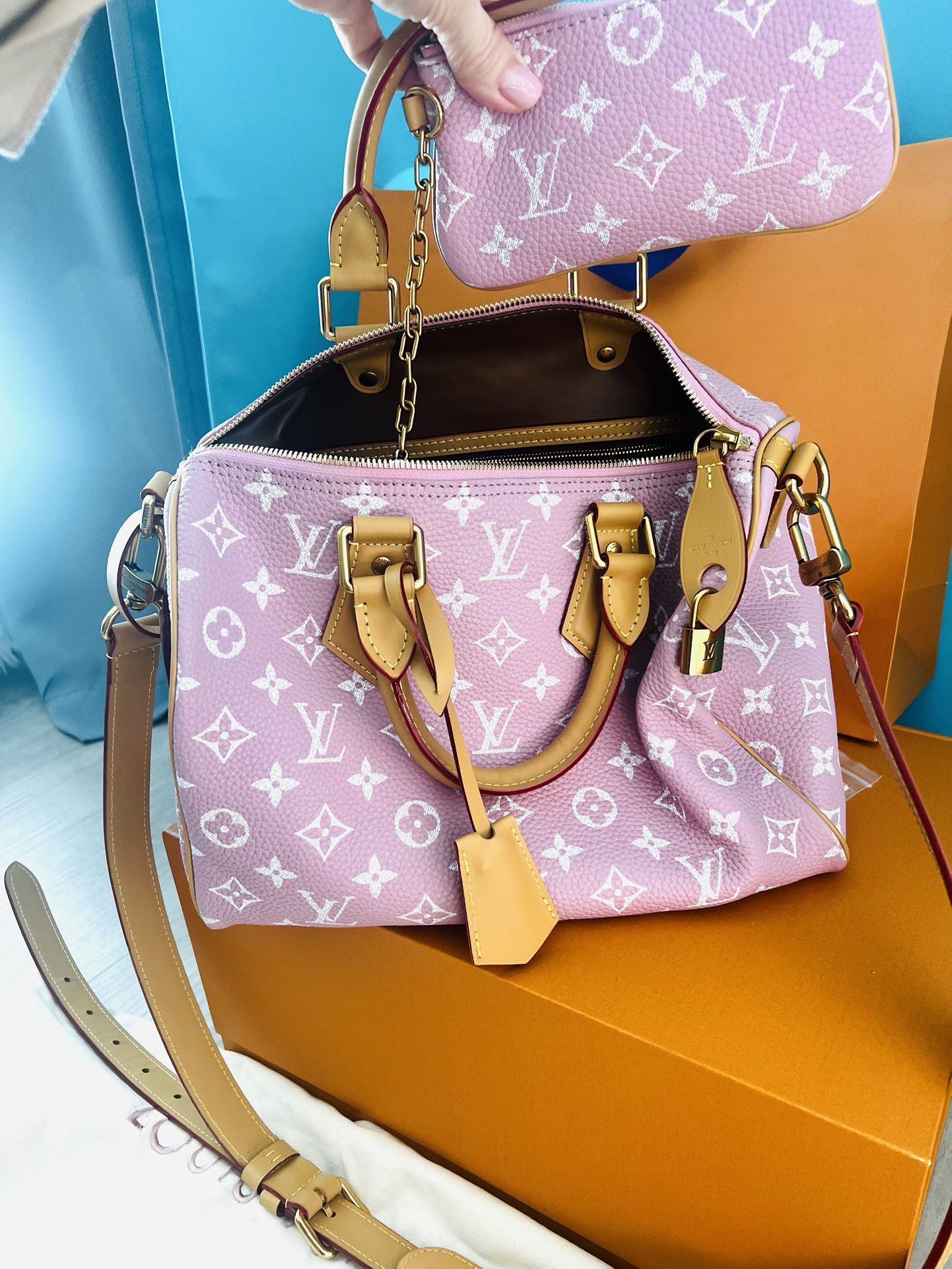 Louis Vuitton Speedy Soft 30