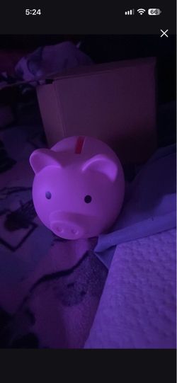 Pink piggy bank little brand new