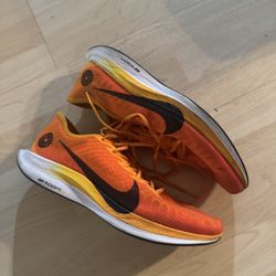 Nike Zoom Pegasus Turbo 2 Blue Ribbon Sports Mens Size 12 